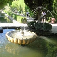 clm5 – Gabriele Weissenegger