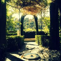 sitio preferido – Theresa Otto
