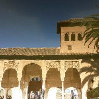 Water reflect(oasis in the desert) – Abdullah Hani (Turquía)