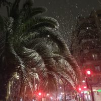 El Raro Nieve en Granada