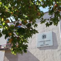 La Universidad