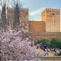 Alhambra en primavera